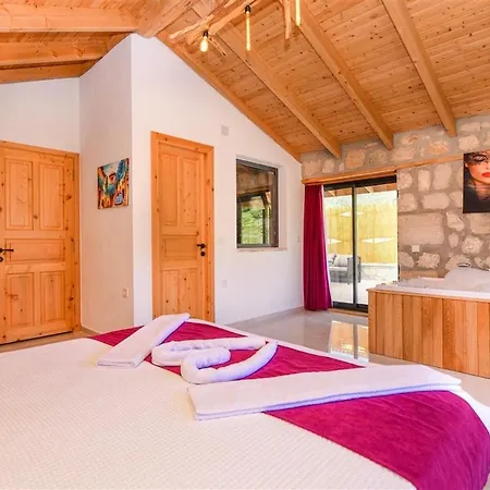 With Private Pool And Jacuzzi In Nature فيلة